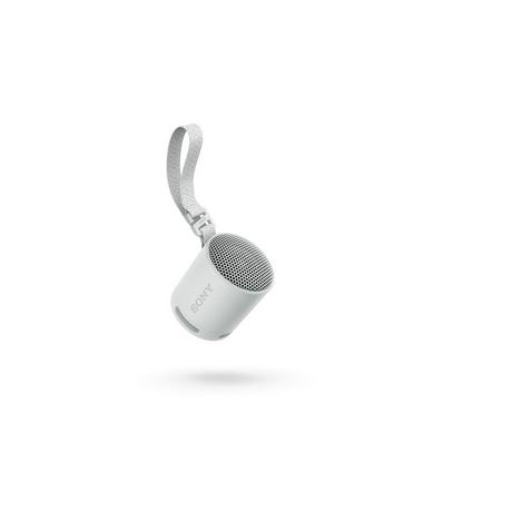 Sony SRSXB100H_CE7 Compact Bluetooth Wireless Speaker - Light Grey