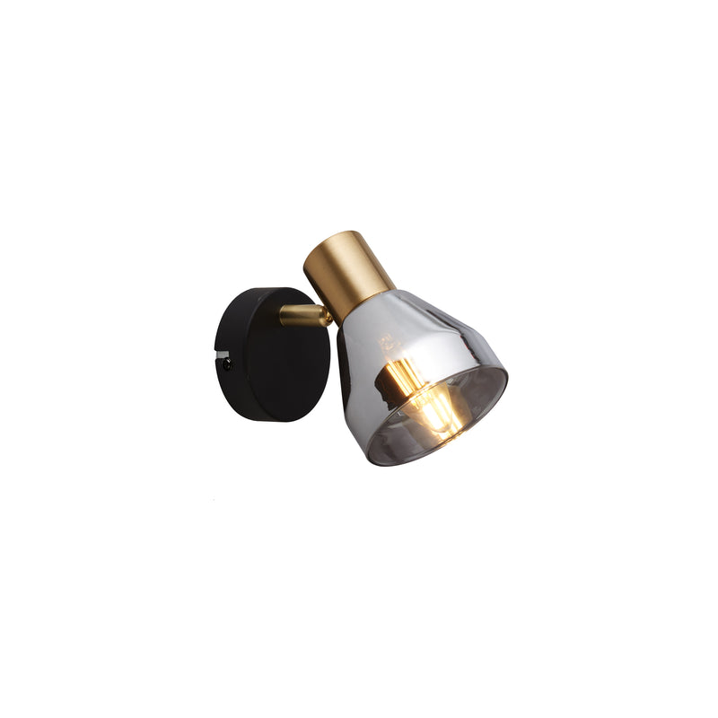Searchlight  23801-1SM Westminster Spotlight  - Black, Satin Brass Metal & Smoked - Bonus Superstore
