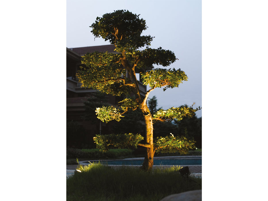 Firstlight LED Wall & Spike Spot 2336GP