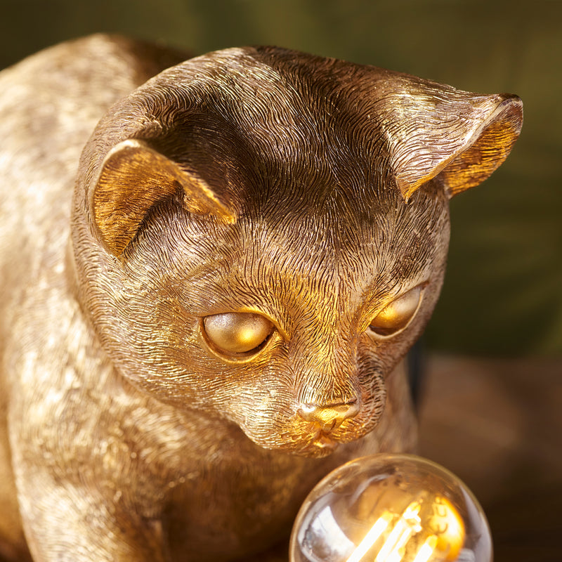 Kitten 1lt Table - 107389