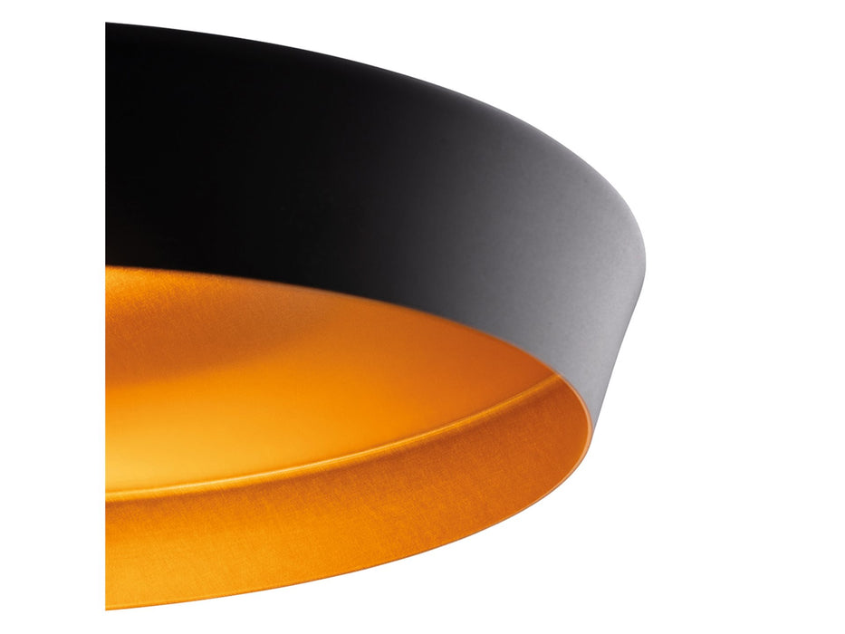 Firstlight Leo Pendant 2850BK