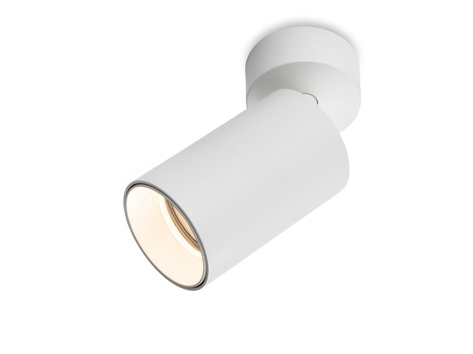 Firstlight Max Wall / Ceiling Spot 2925WH