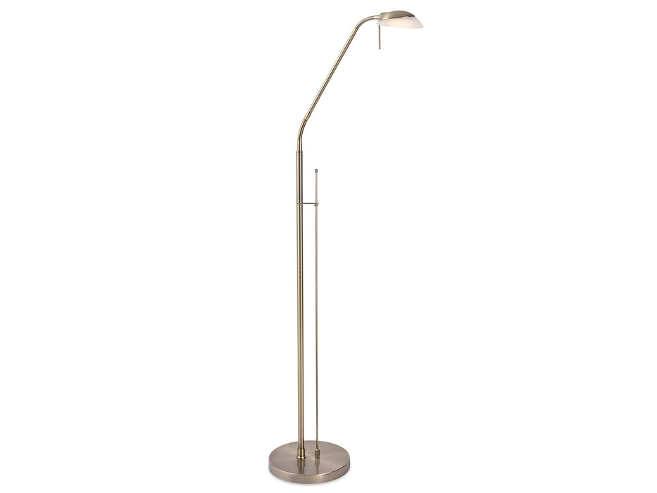 Firstlight Madrid LED Floor Lamp 2935AB
