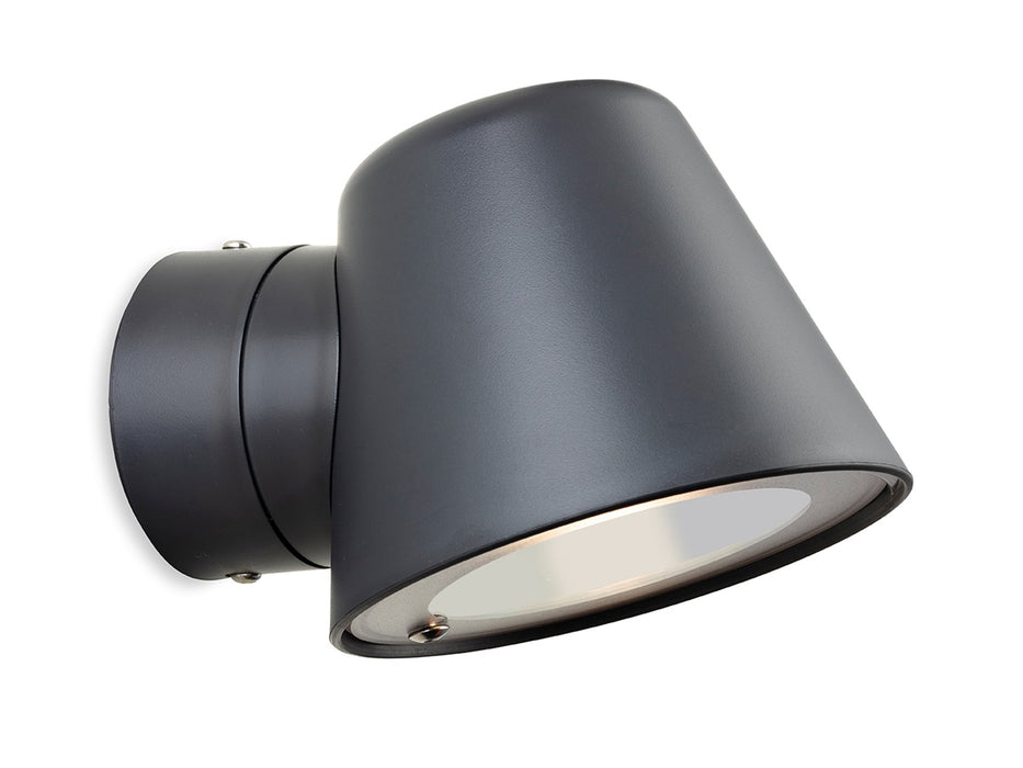 Firstlight Cliff Resin Wall Light 3837GP