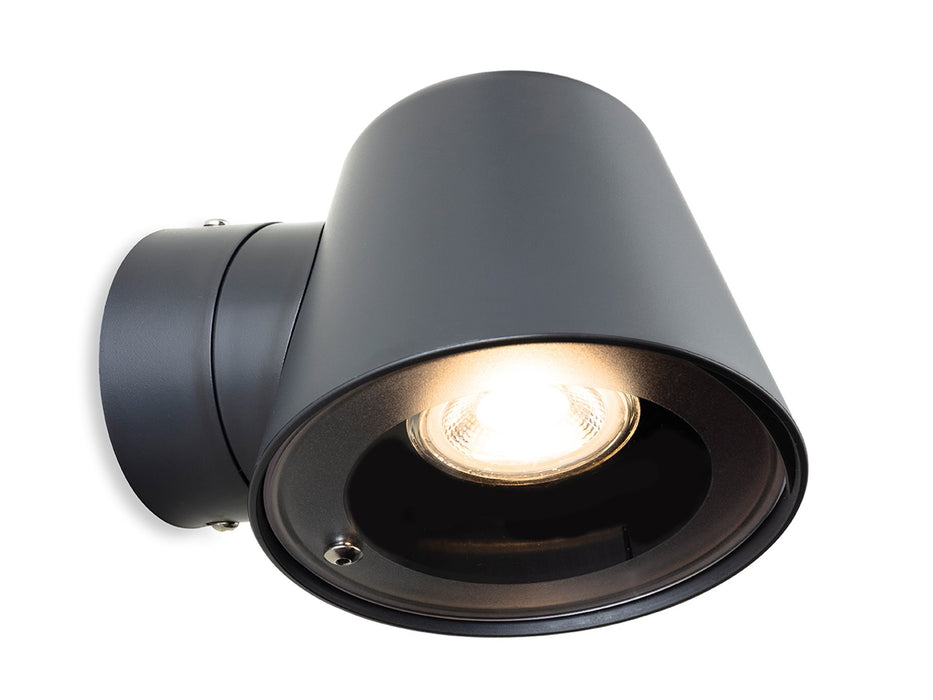 Firstlight Cliff Resin Wall Light 3837GP