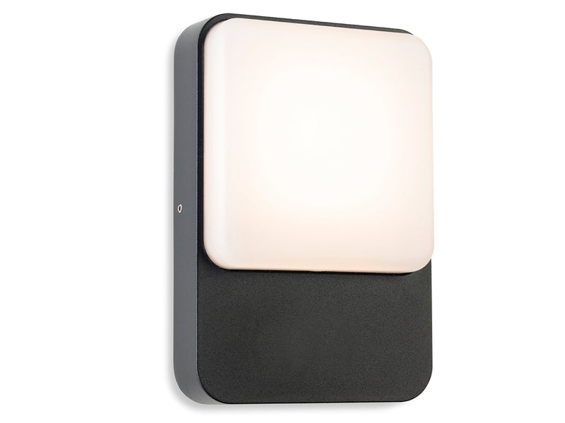 Firstlight Hero LED Wall Light 3854GP
