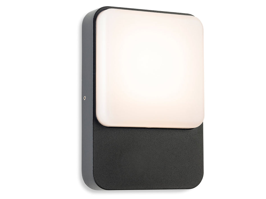 Firstlight Hero LED Wall Light 3854GP
