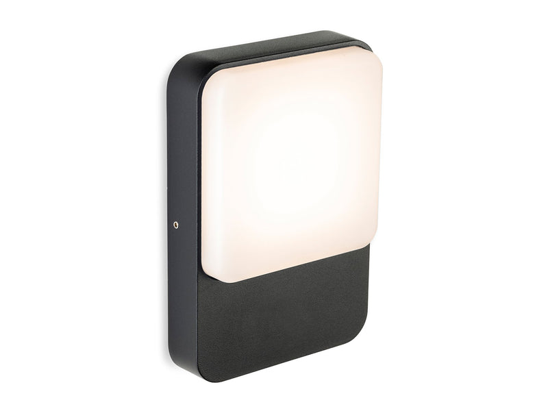 Firstlight Hero LED Wall Light 3854GP