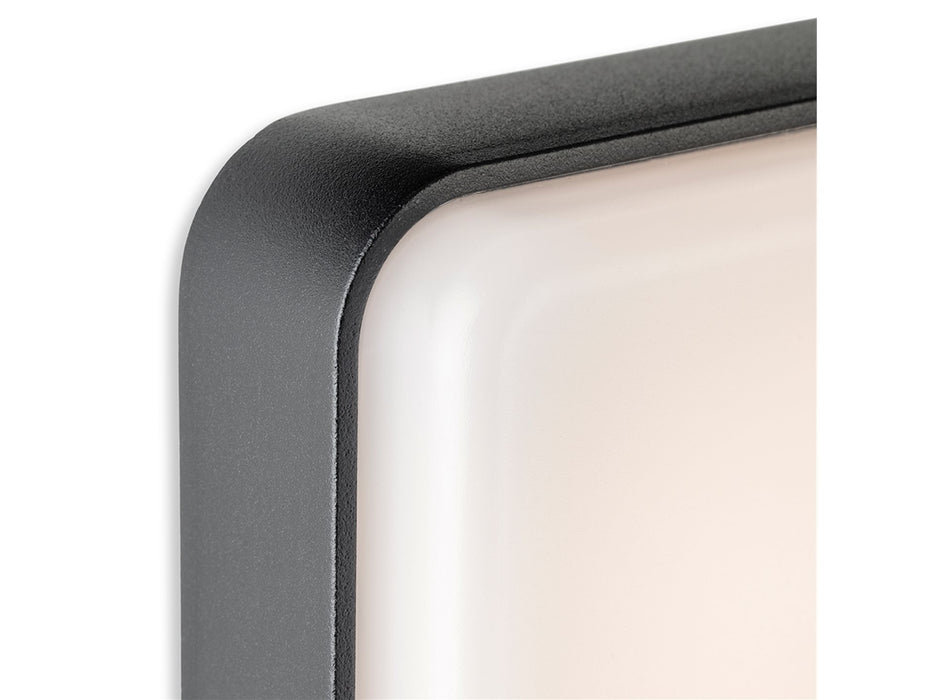 Firstlight Hero LED Wall Light 3854GP