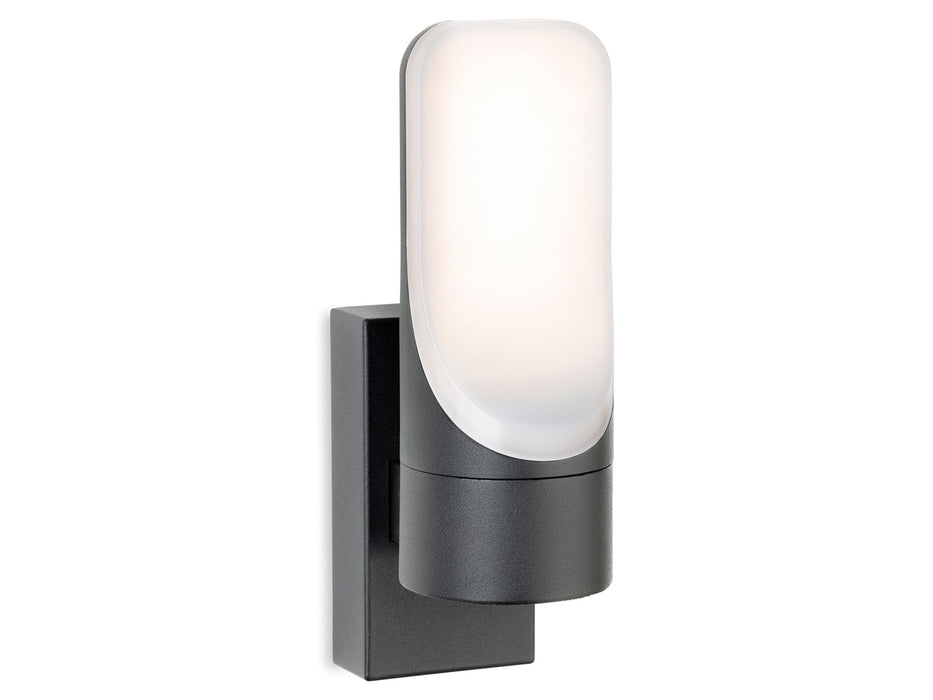 Firstlight Eve LED Wall Light 3856GP