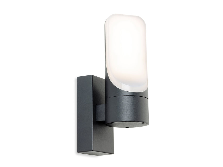 Firstlight Eve LED Wall Light 3856GP