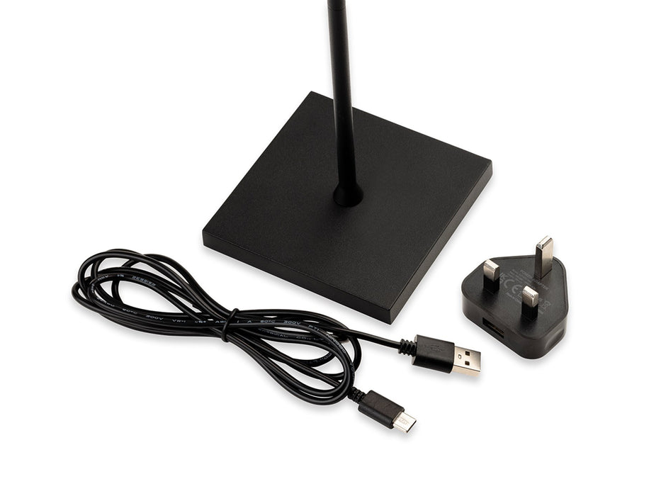 Firstlight Koko LED Table Lamp 3861BK