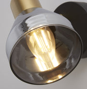 Searchlight  23801-1SM Westminster Spotlight  - Black, Satin Brass Metal & Smoked - Bonus Superstore