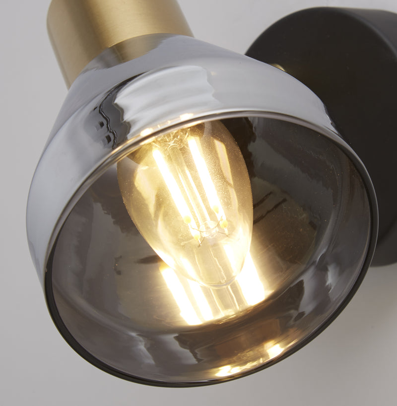 Searchlight  23801-1SM Westminster Spotlight  - Black, Satin Brass Metal & Smoked - Bonus Superstore