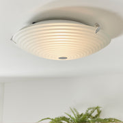 Roundel 2lt Flush - Bonus Superstore
