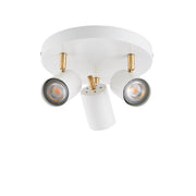 Gull 3lt Spot - Bonus Superstore