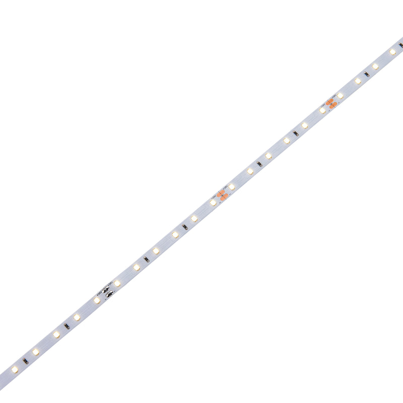 Orion20 LED 4000K 4.8W/M 5M 24W - 98999