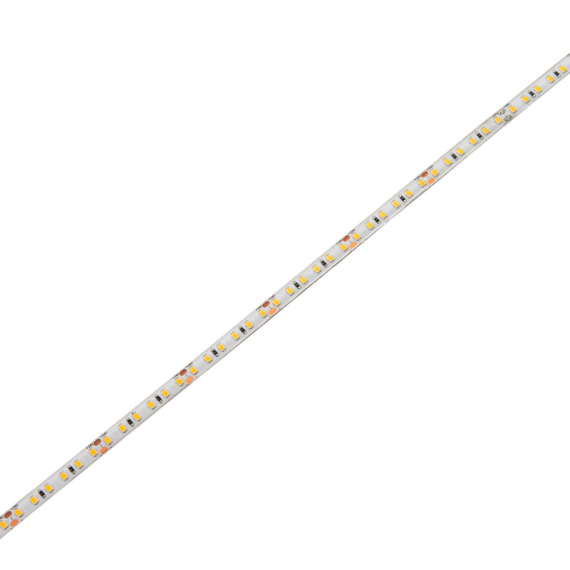 Orion65 LED 4000K 9.6W/M 5M IP65 48W - 99023