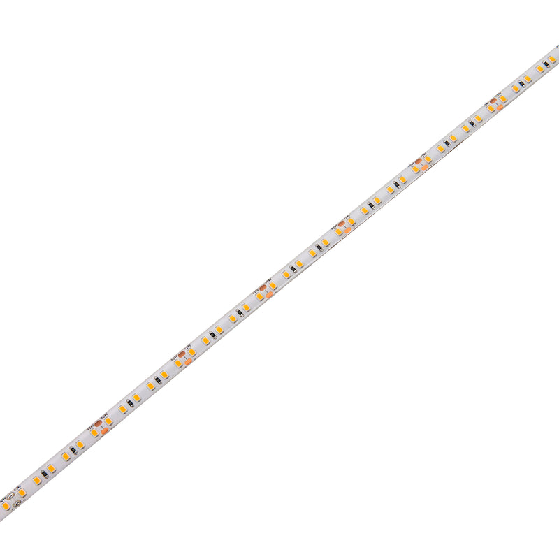 Orion65 LED 3000K 9.6W/M 30M IP65 288W - 99024