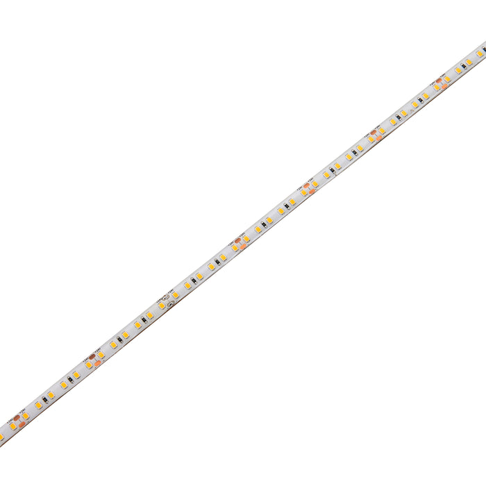 Orion65 LED 4000K 9.6W/M 30M IP65 288W - 99025