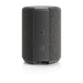 Audio Pro Wireless 15280 Speaker - Dark Grey Audio Pro