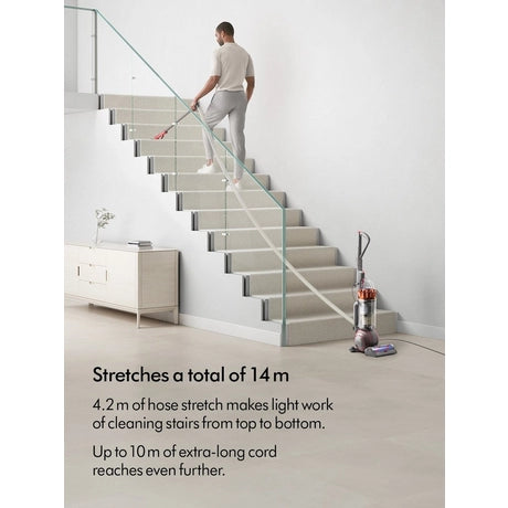 Dyson BALLANIMALMFNEW Ball Animal Multi-floor Upright Vacuum Cleaner - Silver - Bonus Superstore