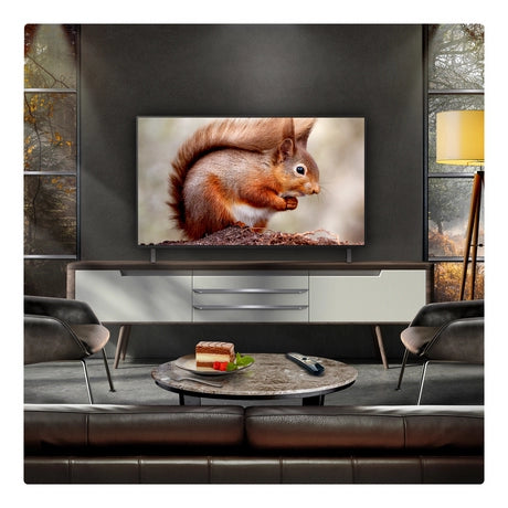 LG OLED AI B5 48" 4K Smart TV
