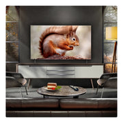 LG OLED55B56LA.AEK 55" 4K OLED Smart TV - Bonus Superstore
