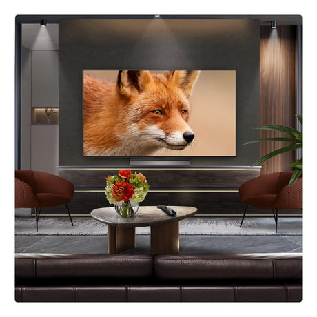 LG OLED55C56LB.AEK 55" 4K OLED Smart TV - Display Price - Bonus Superstore