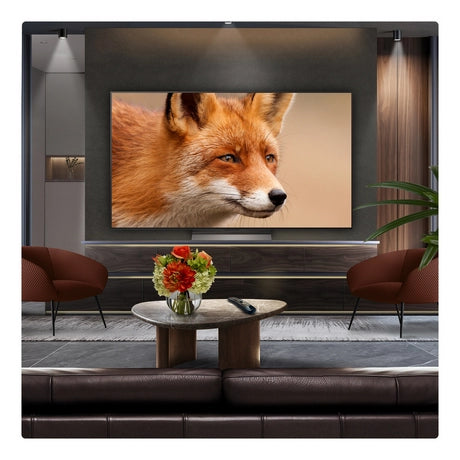 LG OLED evo AI C5 65" 4K Smart TV