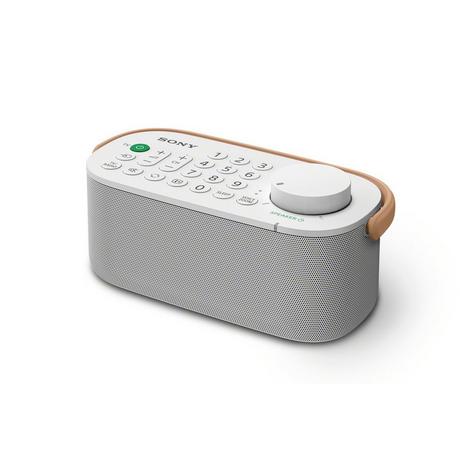 Sony SRSLSR200CE7 Wireless Bluetooth Speaker - Bonus Superstore