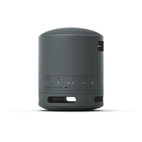 Sony SRSXB100B_CE7 Compact Bluetooth Wireless Speaker - Black - Bonus Superstore
