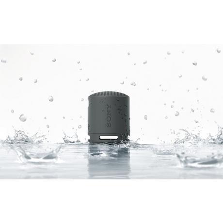 Sony SRSXB100B_CE7 Compact Bluetooth Wireless Speaker - Black - Bonus Superstore