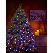 Premier LV221690RBW 300 Rainbow LED Frosted Berry Lights Premier